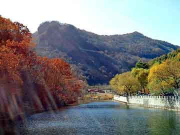 管家婆黑白马报图库，高压变压器